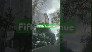 Fifth Avenue bordering Central Park icclifecoach newyork centralpark [upl. by Koziarz]