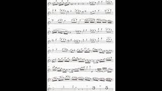 SMercadante POLACCA from Flute Concerto D duraccompaniment [upl. by Francklyn]