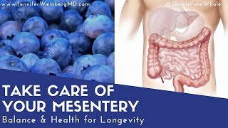 Take Care of Your Mesentery for Better Health amp Longevity [upl. by Figone]