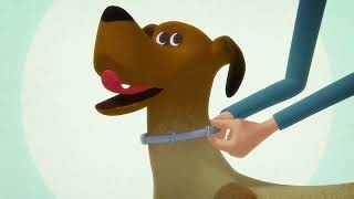 How to Apply the Seresto Collar for Dogs [upl. by Effie]