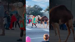 Christmas Parade Shelby NC Pov Walkthrough dogs parade christmas [upl. by Oderfigis]