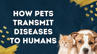 How Pets Transmit Diseases to Humans [upl. by Greene500]