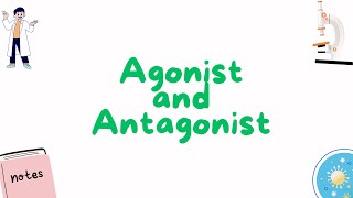 Agonists and Antagonist [upl. by Stannfield]