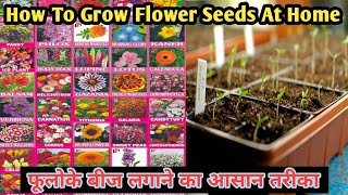 How To Grow Flower Seeds At Homeफूलोके बीज लगाने का सबसे आसान तरीकाMy Village Garden [upl. by Eidoc]