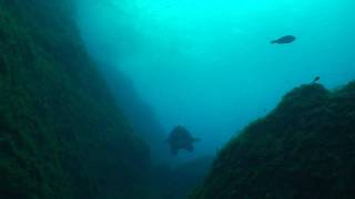 Scuba Diving Malta Gozo Blue Hole Inland Sea  Nurkowanie [upl. by Lecram]