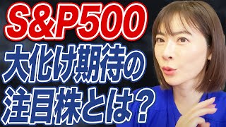 トランプ再選で今、注目の業界や株価の予測について解説します。 [upl. by Hcab]