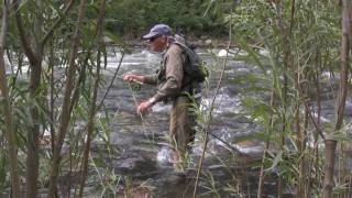 Fly Fishing the Gallatin River in Bozeman Montana [upl. by Georgiana683]