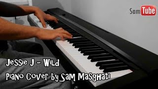 Jessie J  Wild Piano Cover ft Big Sean Dizzee Rascal [upl. by Eissat]