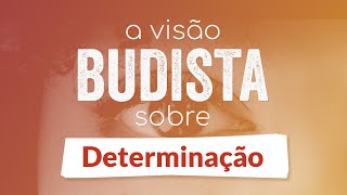 A visão budista sobre determinação [upl. by Merriman]