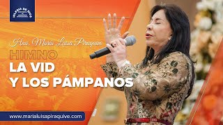 Himno La Vid y los Pámpanos Hna María Luisa Piraquive IDMJI [upl. by Oinotnanauj965]