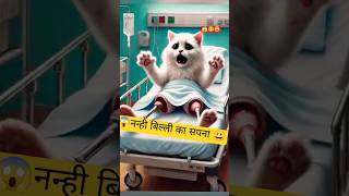 billi ka dance ka Sapna cat aicat ai fyp catlover poorcat funny billi cartooncats [upl. by Julie]