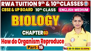 Class 10th Biology Chapter 3  How do organism reproduce Part 16  10th by Gaurangi Mam [upl. by Cinimod]