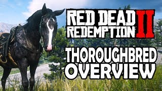 Thoroughbred Overview  Red Dead Redemption 2 Horses [upl. by Laughton]