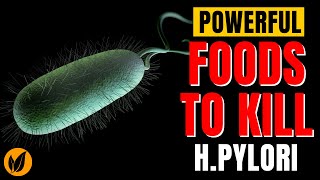 Powerful Foods that Combat H Pylori Helicobacter pylori [upl. by Anurag]