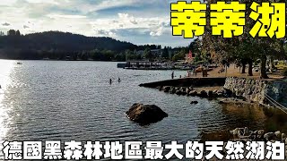 德國黑森林地區最大的天然湖泊【蒂蒂湖Titisee】 看全世界最大咕咕鐘 Titisee Germany [upl. by Ydnarb]