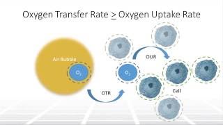 The Impact of Aeration on Cell Culture in Bioreactors Part 1 – Two Minute Tuesday Video [upl. by Selokcin]