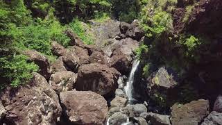 Glennifer Falls Dorrigo National Park in 4K [upl. by Anetta]