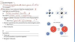 Covalent Bonds 10 [upl. by Ttegirb]