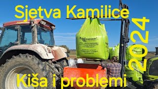 OPGPuzjak Priprema i Sjetva kamilice sezona 2024 Sowing chamomile in a modern way [upl. by Farah]