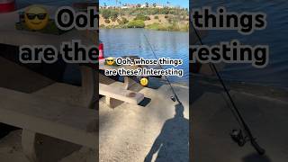 Laguna Niguel Lake best lake for fishing Do you want know nice spot shorts fishingvideo fishing [upl. by Enidan488]