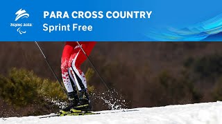 Para Cross Country Sprint Free  Day 5  Beijing 2022 Paralympic Winter Games [upl. by Reggie]