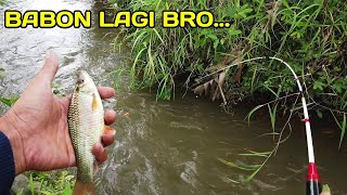 Mantap bro Mancing Saat Musim HujanLM36 [upl. by Annaoy]