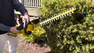 DEWALT 20V MAX Cordless Hedge Trimmer Review [upl. by Zeph511]