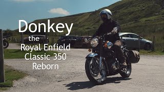 Donkey the Royal Enfield Classic 350 Reborn  New Channel Bike [upl. by Htiaf944]