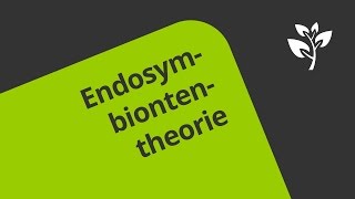 Die Endosymbiontentheorie Wie Chloroplasten und Mitochondrien entstanden sind  Biologie [upl. by Etheline]