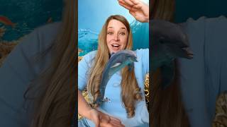 Ocean Animals 🐬 Opposites Song kidssongs kidslearning [upl. by Yrmac]