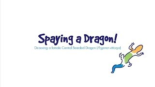 Spaying A Dragonwmv [upl. by Napra]