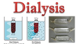 Protein purification  protein dialysis [upl. by Drummond755]