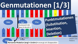 Genmutationen 13 Punktmutationen Insertion Substitution Deletion  Genetik Oberstufe [upl. by Pease613]