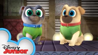 Project Funway  Puppy Playcare  Puppy Dog Pals  Disney Junior [upl. by Orlene]