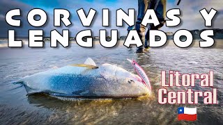 Encontramos Corvinas y Lenguados 🍀 Pescando en el Litoral Central 🇨🇱🎣 [upl. by Ferri]