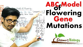 ABC model of flowering  Flower development and ABC gene mutation [upl. by Atiraj]