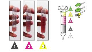 IDDSI Flow Test Comparison Levels 1 3  German [upl. by Abbotsun]