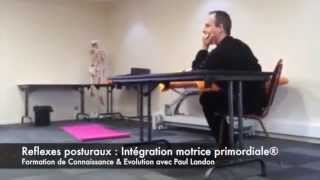 Extrait de formation  Réflexes posturaux chez lenfant [upl. by Laris]