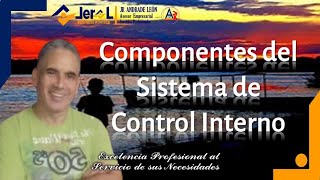 Componentes del Sistema de Control Interno [upl. by Ditter166]