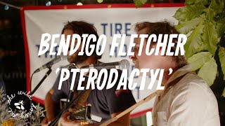 Bendigo Fletcher  Pterodactyl  The Wild Honey Pie Dinner Party [upl. by Ebag]