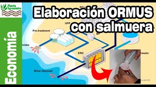 ¿Se puede usar la 🌊 SALMUERA para producir 🌱 ORMUS a gran escala [upl. by Assanav639]