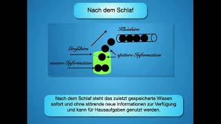 Wie funktioniert Lernen in unserem Gehirn und wichtige Lerntips [upl. by Ecirum858]