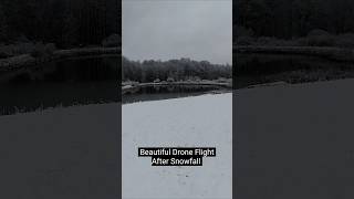 Beautiful Snowy Drone Flight of the Acres snow pennsylvania nature serenity DreamTrackAI [upl. by Samanthia995]