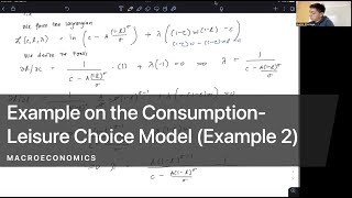 Example on the ConsumptionLeisure Choice Model [upl. by Patrizius373]