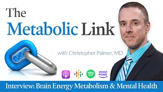 Christopher Palmer MD  Brain Energy Metabolism amp Mental Health  The Metabolic Link Ep 2 [upl. by Cnut145]