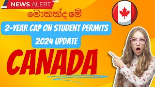 මොකක්ද මේ 2year cap on student permits in 2024  Higher Studies in Canada msc phd canada [upl. by Daahsar]