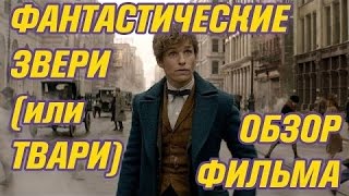 САМЫЙ БЫСТРЫЙ ОБЗОР  Фантастические ТВАРИ и где ОНИ обитают [upl. by Anelet]