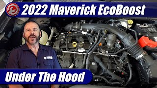 20222024 Ford Maverick 20 EcoBoost Engine Explained [upl. by Vitale791]