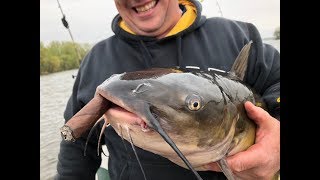 2018 Lake Mendota Catfish [upl. by Kramer642]