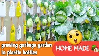 Grow a garbage garden  growing garbage garden in plastic bottles  top creative things [upl. by Yug]